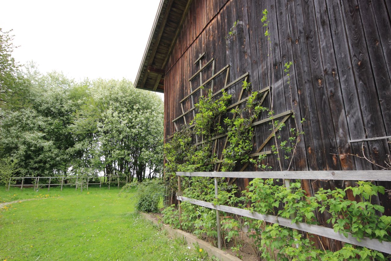 Scheune/Durchgang zum hinteren Garten