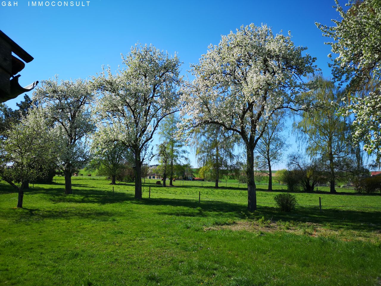 Obstgarten/Weide