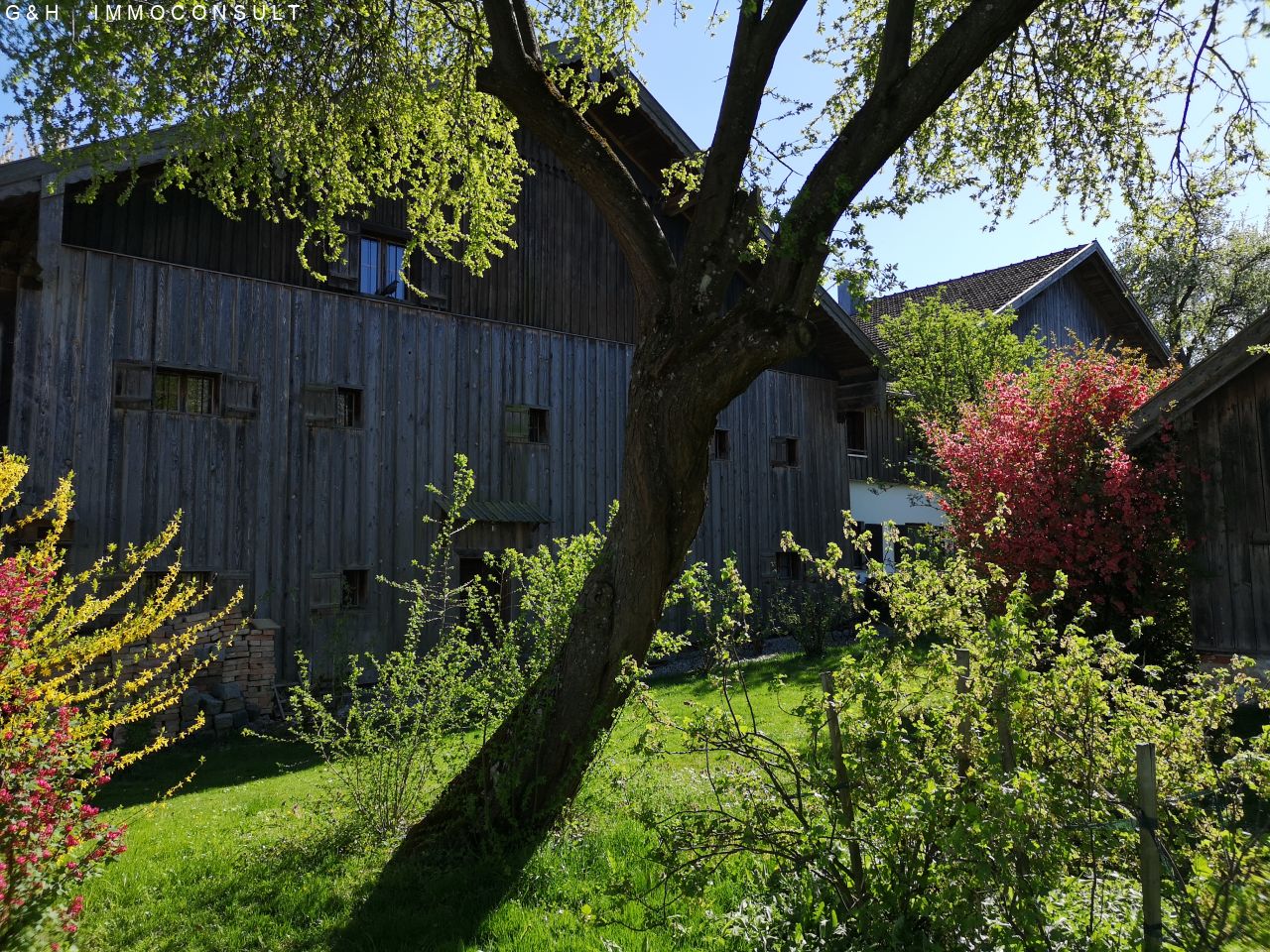 blühender Garten