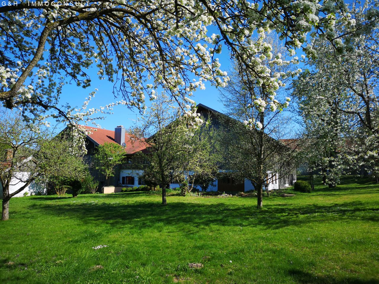 Ansicht Nordwest/Obstgarten