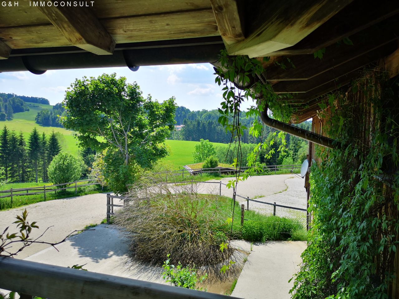 Blick auf den Reitplatz