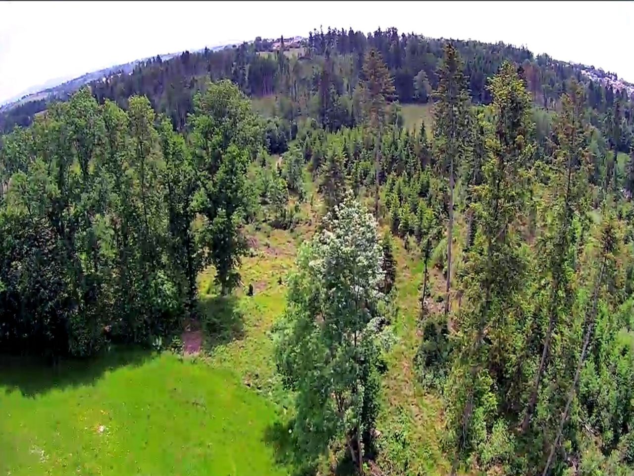 Ausblick über Wald- und Wiesenflächen 