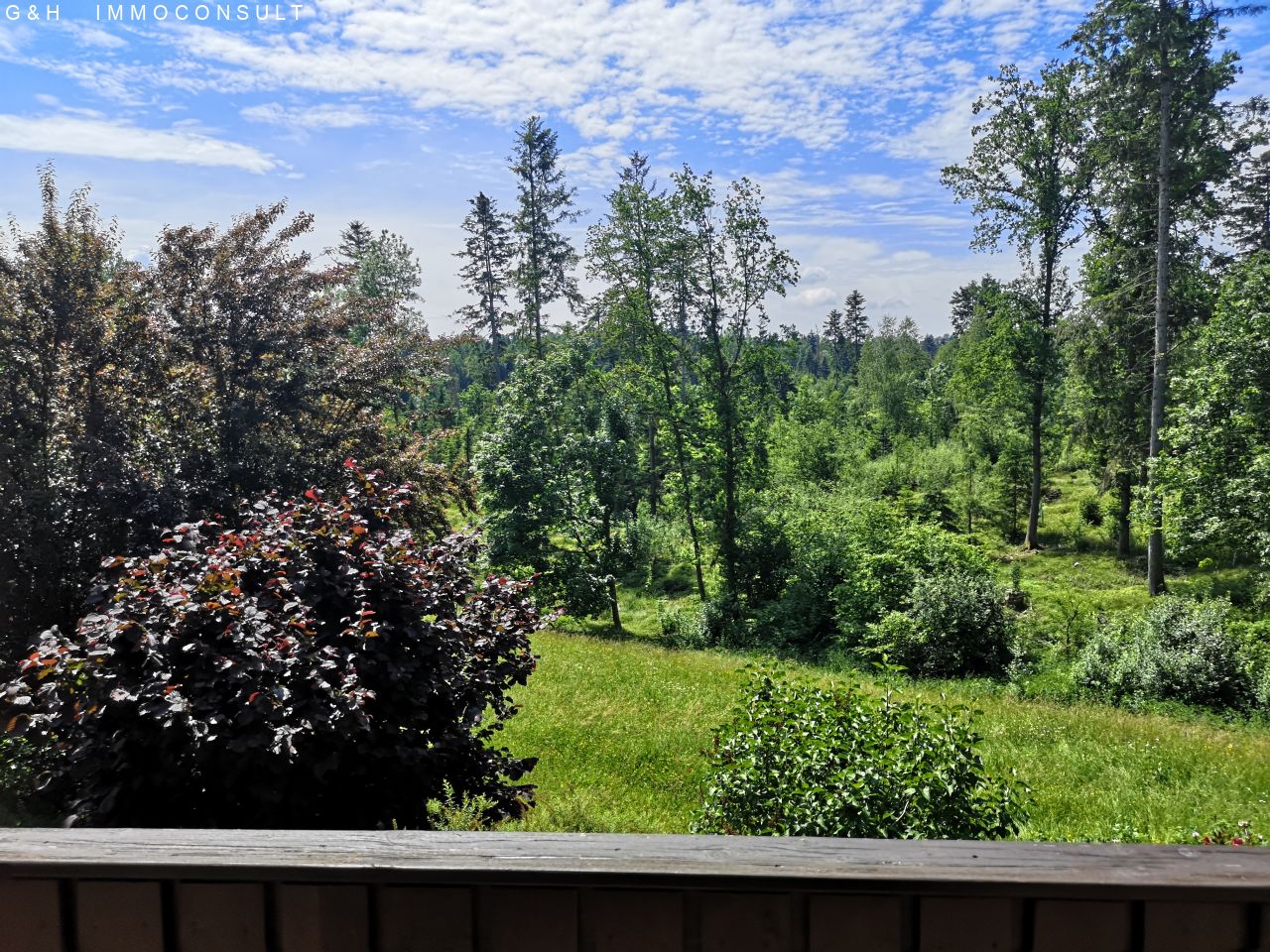 Ausblick vom Südbalkon EG