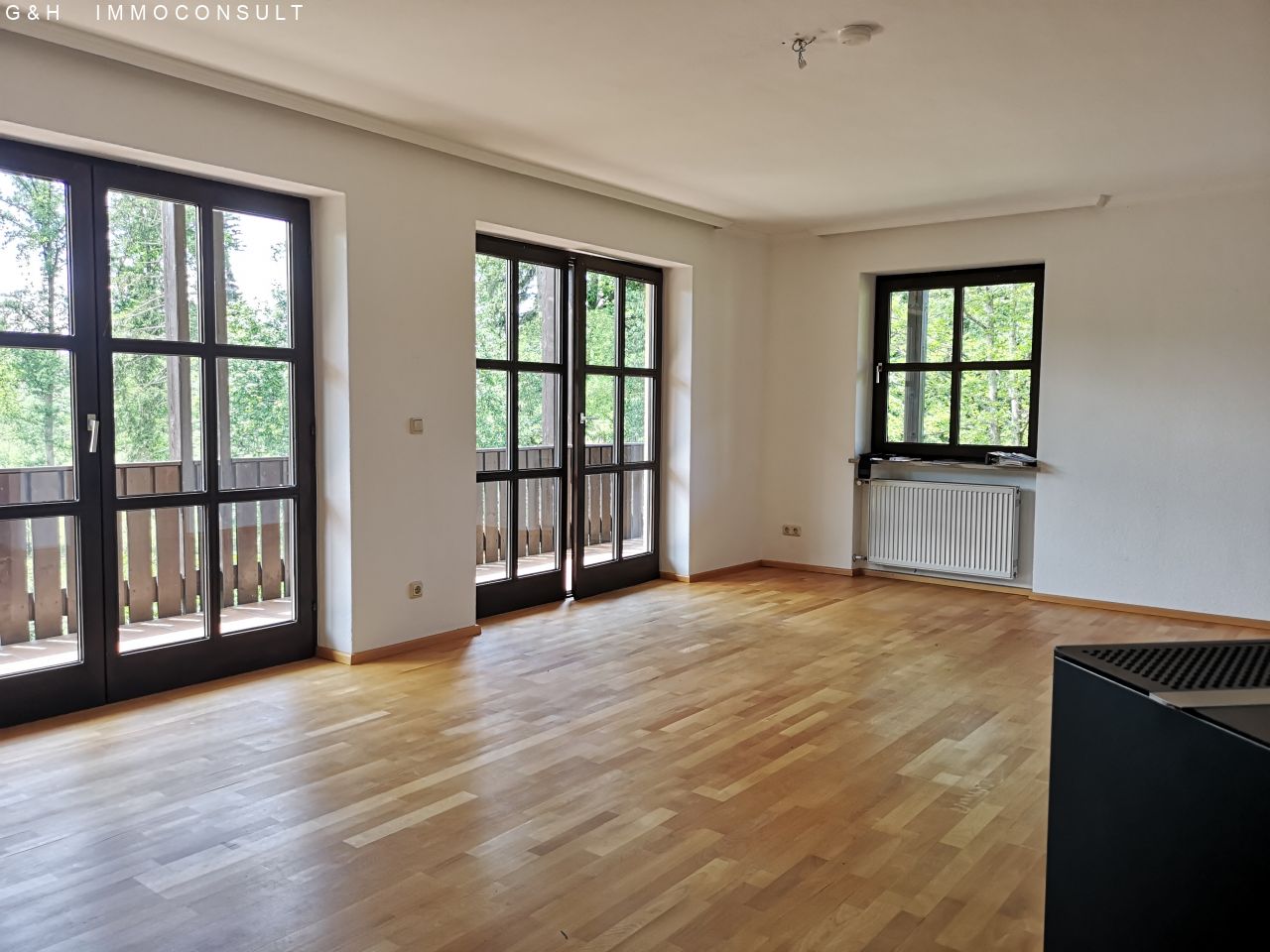 helles Wohnzimmer/Ausgang Südbalkon EG