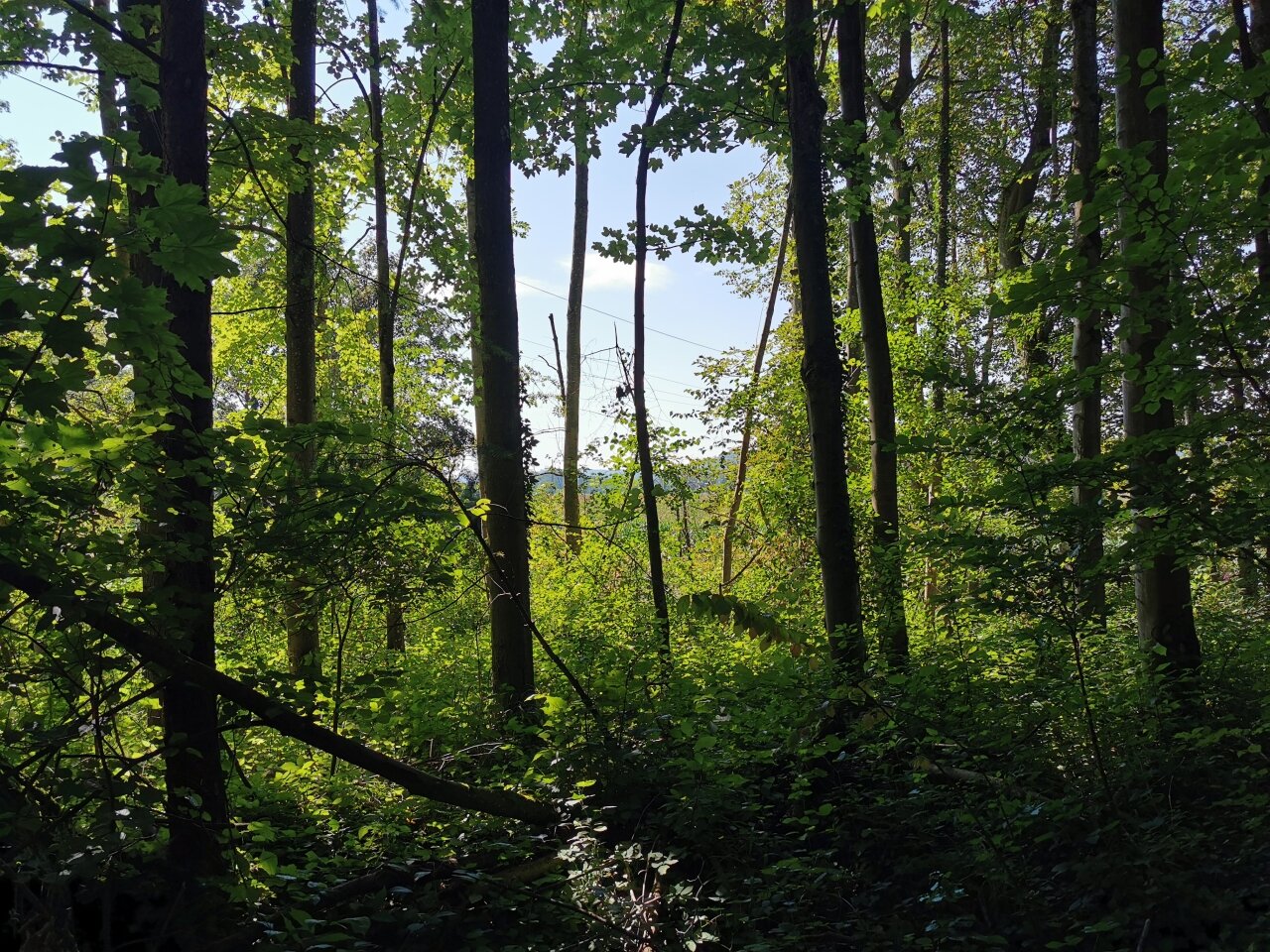 angerenzendes Naturschutzgebiet