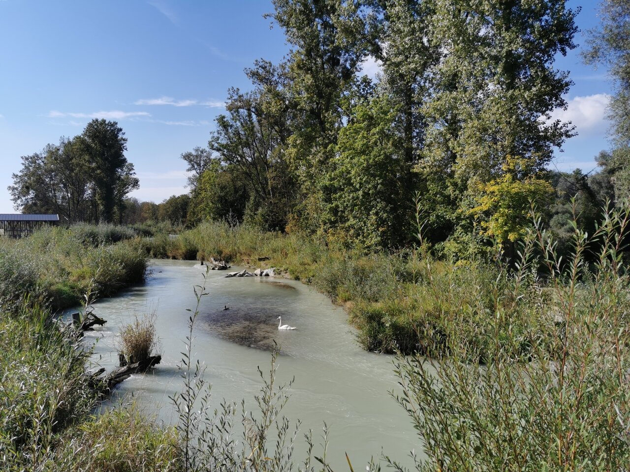 Nautschutzgebiet/Flusslandschaft