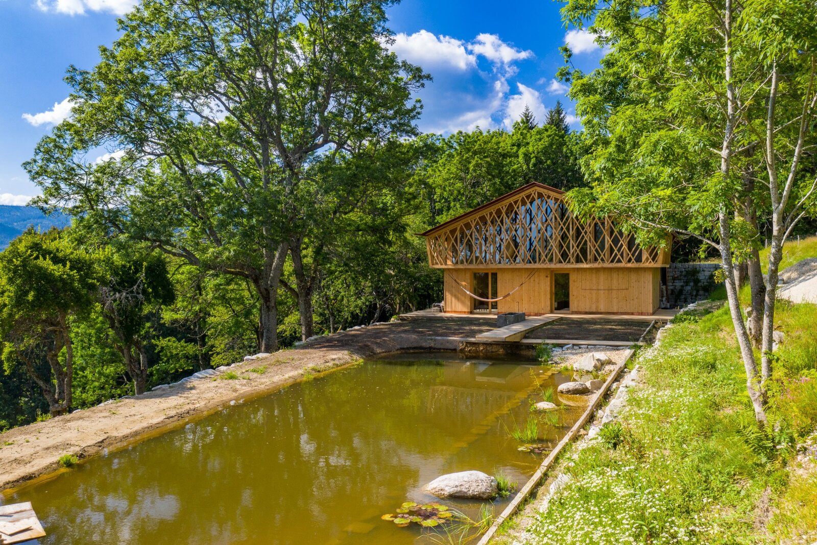 Natur-Schwimmteich