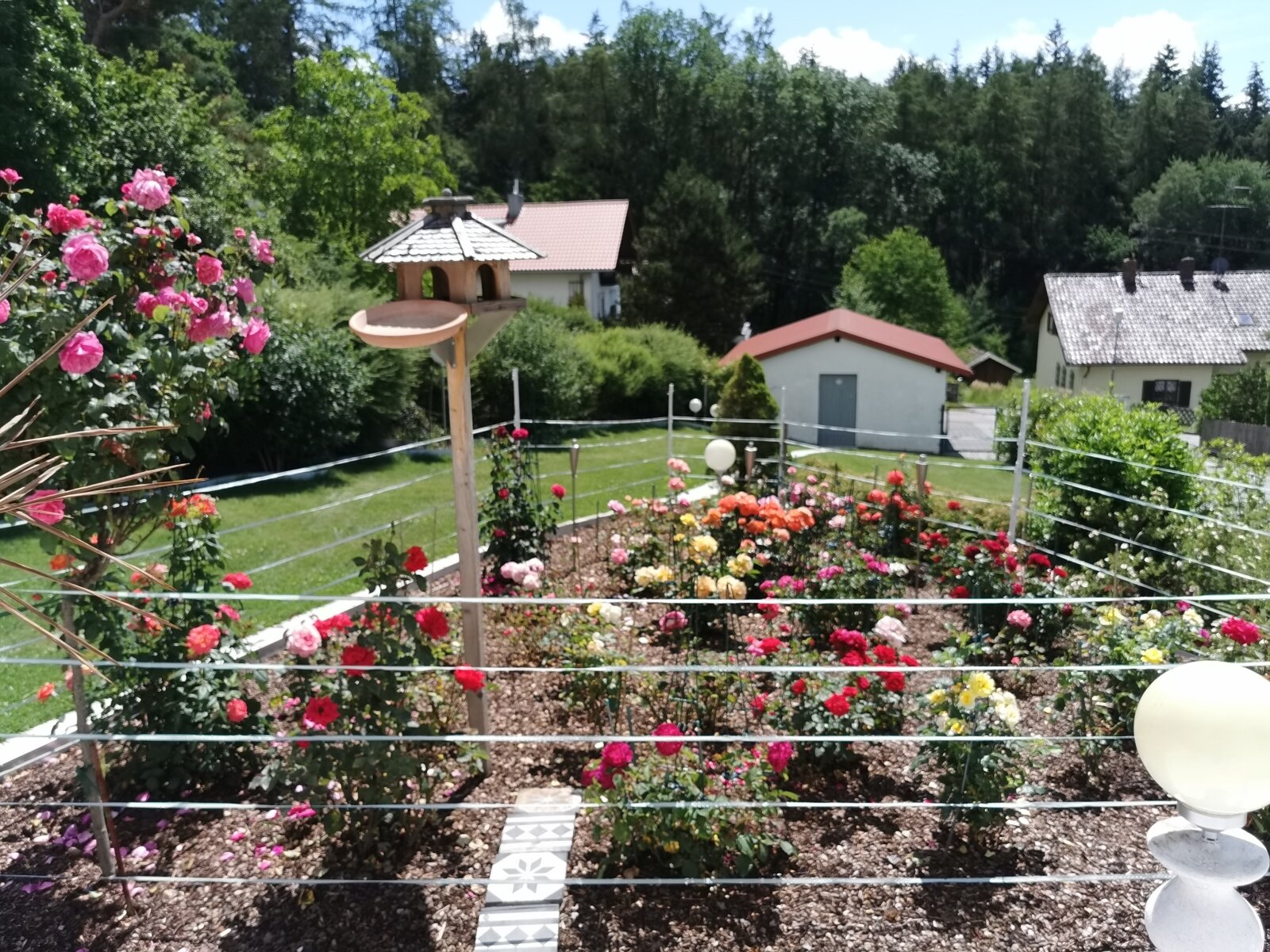 Ausblick Rosengarten