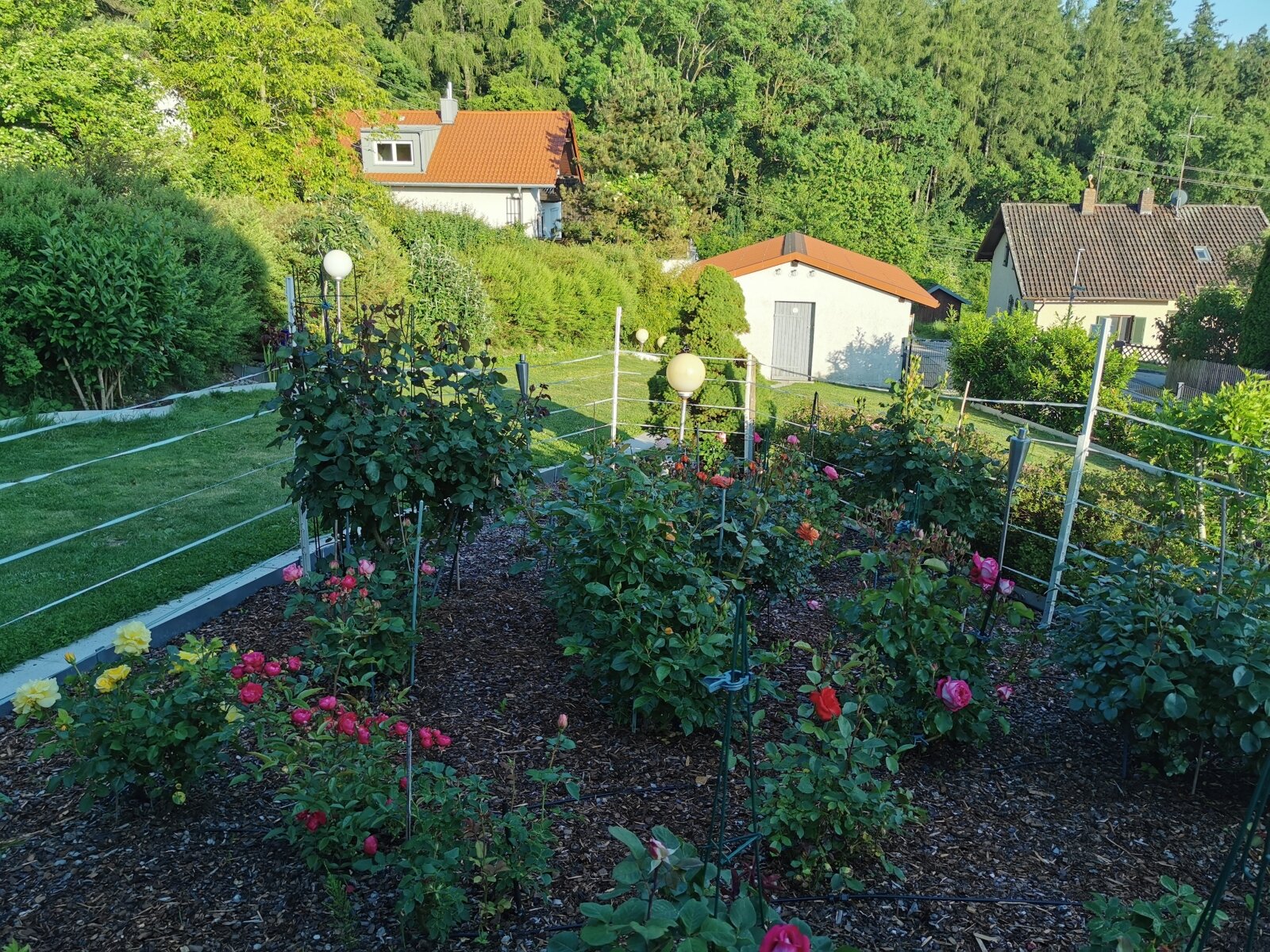 Rosengarten mit Bewässerung