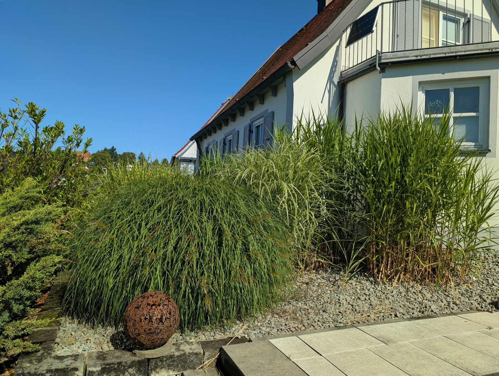 Gräser-Vorgarten
