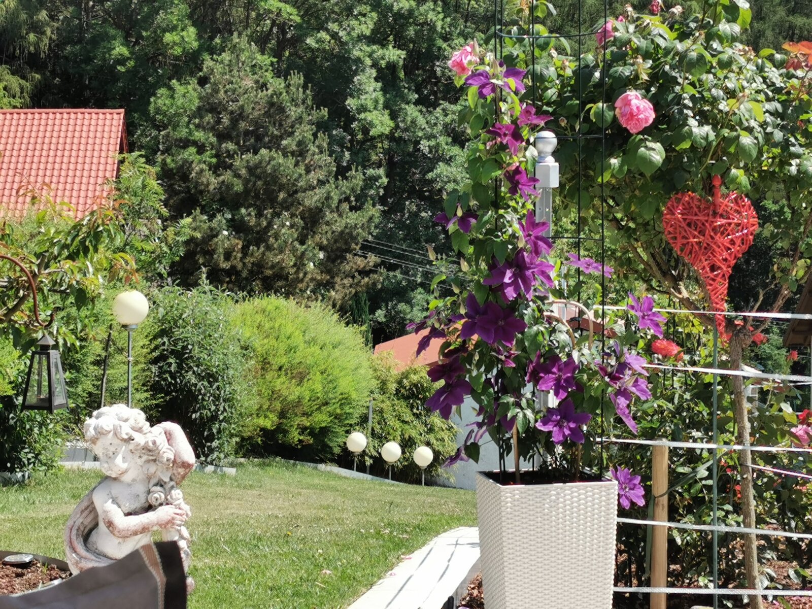 Blumenpracht