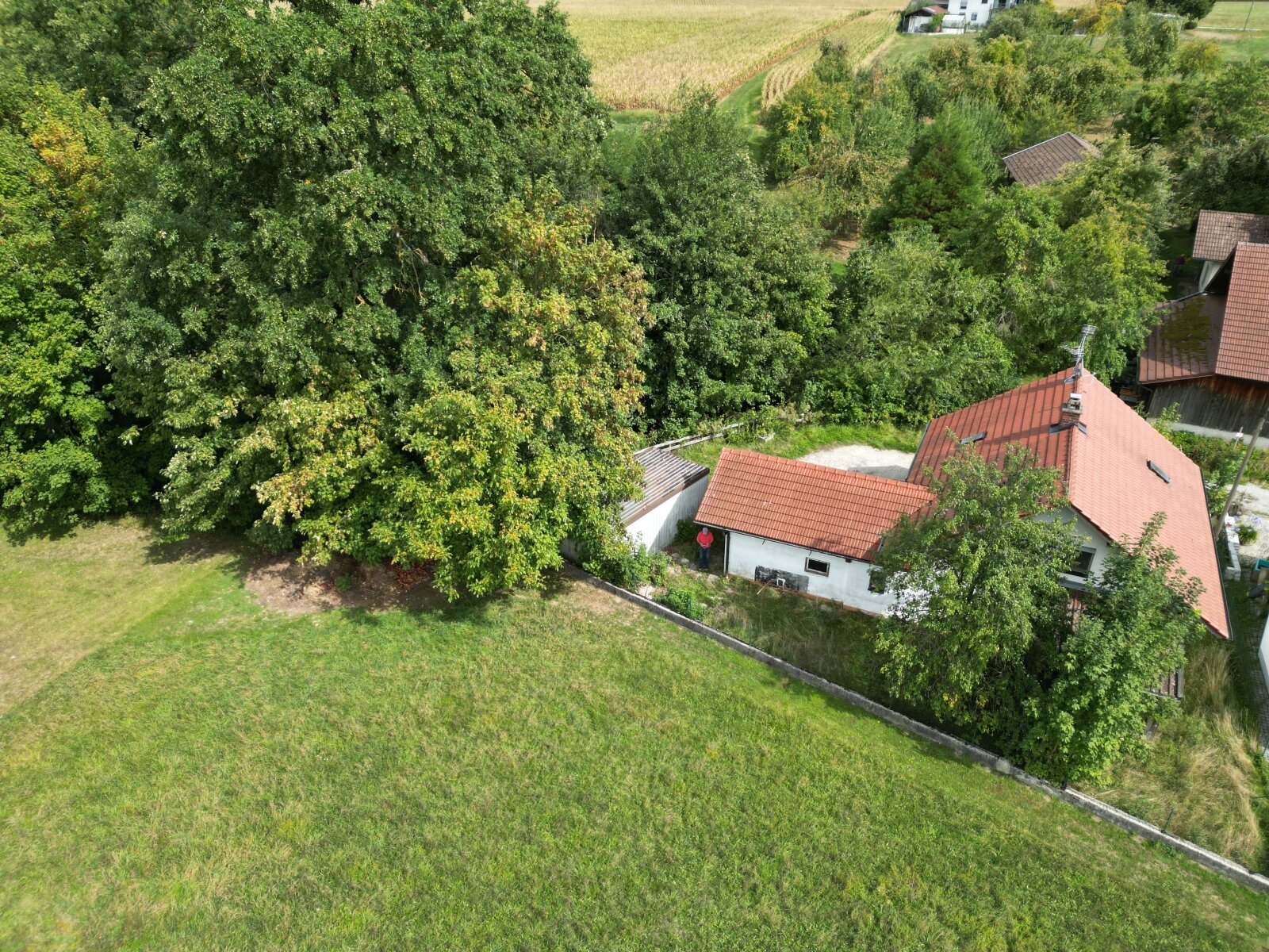 Ansicht von Westen Ansicht von Westen
