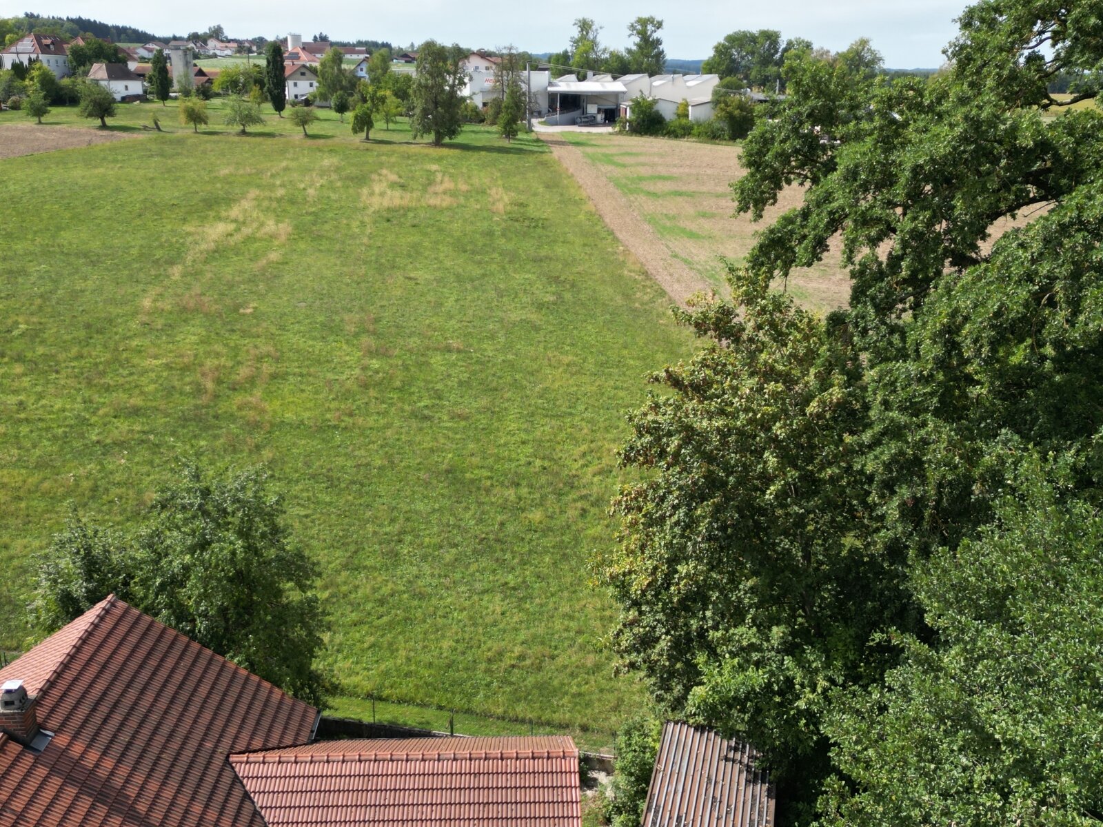 Wiesen, Felder und kleinm Baumbestand Wiesen, Felder und kleinm Baumbestand