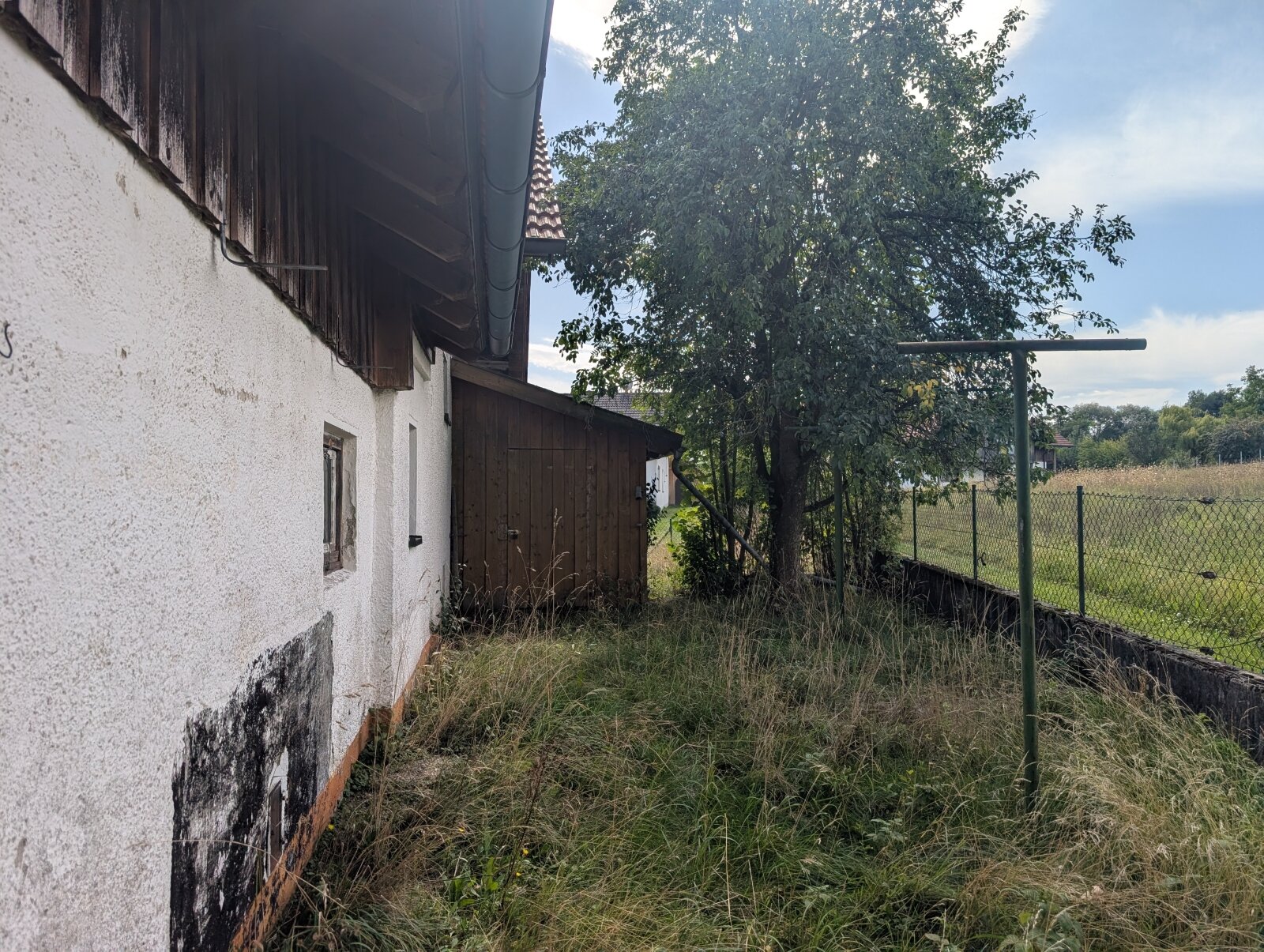 Westseite/Schuppen Westseite/Schuppen